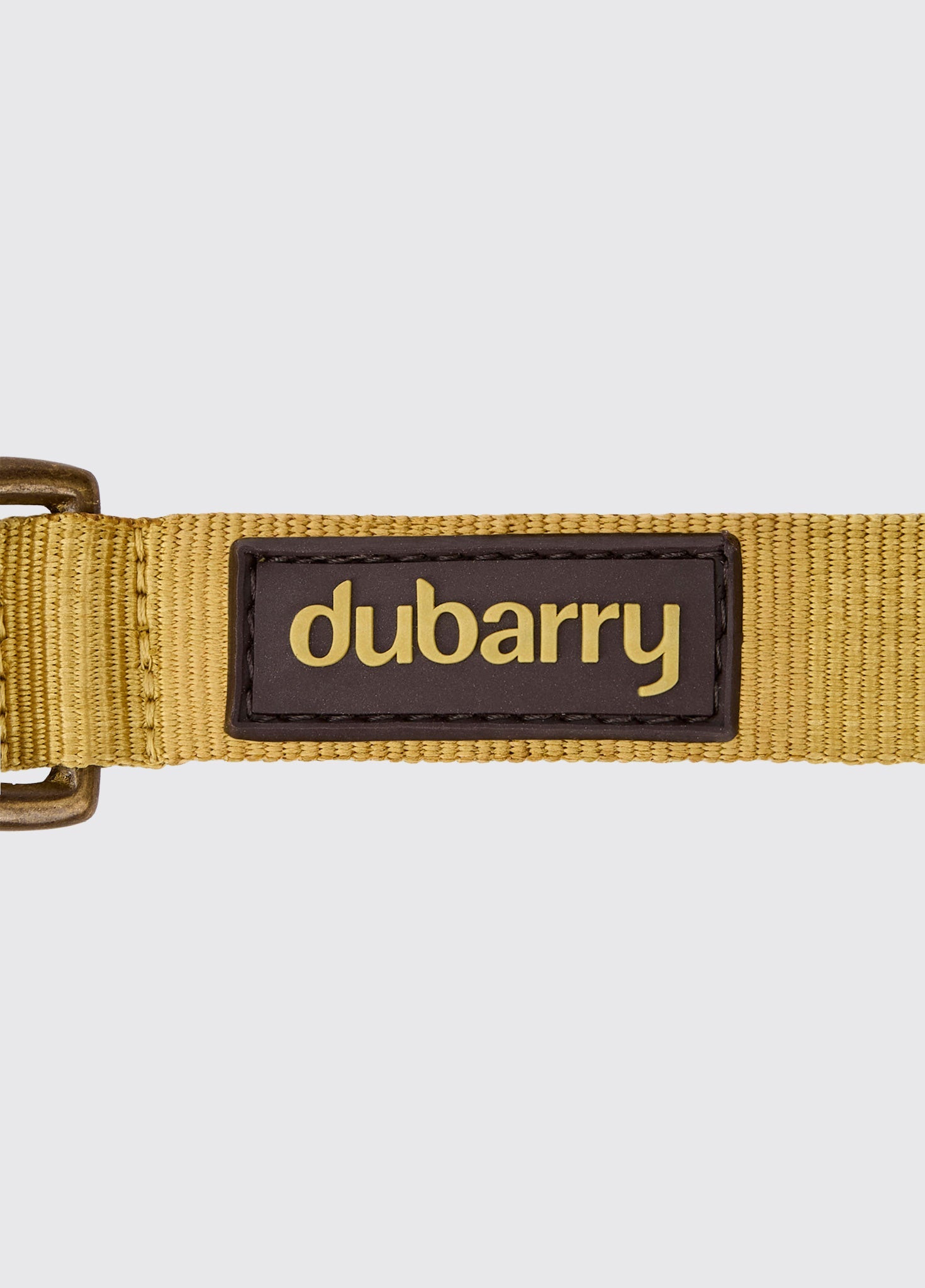 APOLLO Collier pour chien en nylon - Gold