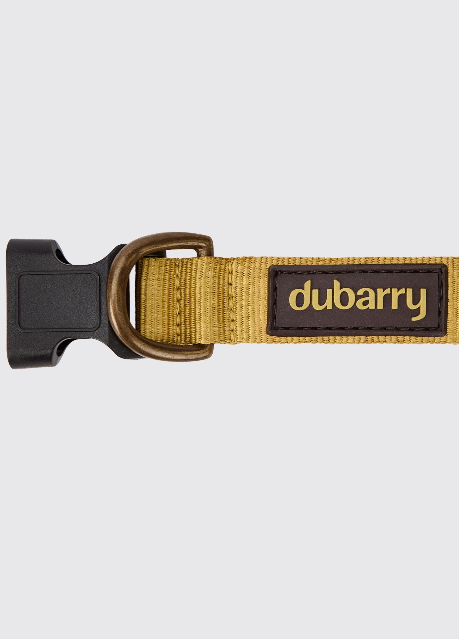 APOLLO Collier pour chien en nylon - Gold