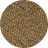 Hemlock