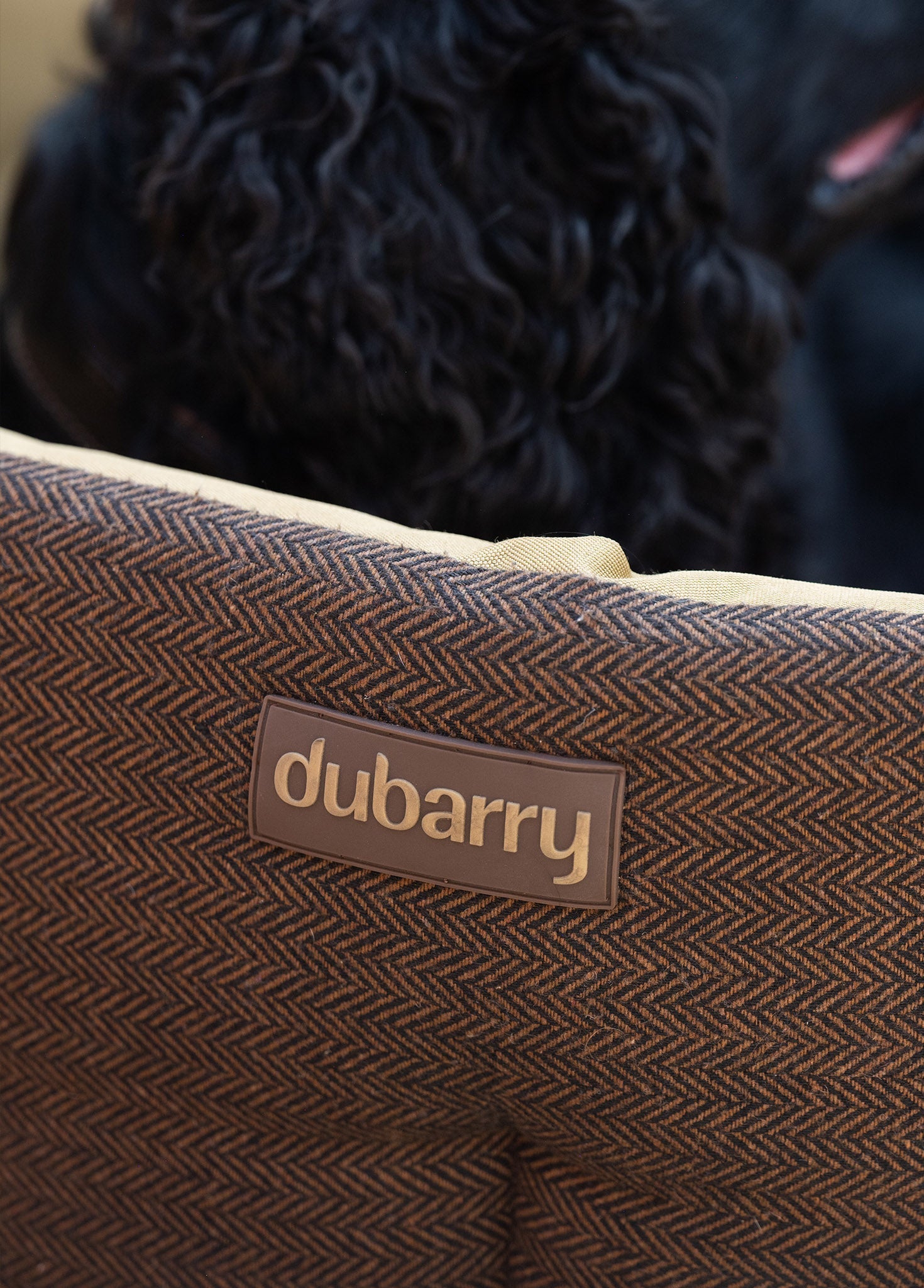 BUSTER Panier pour chien en tweed - Mocha