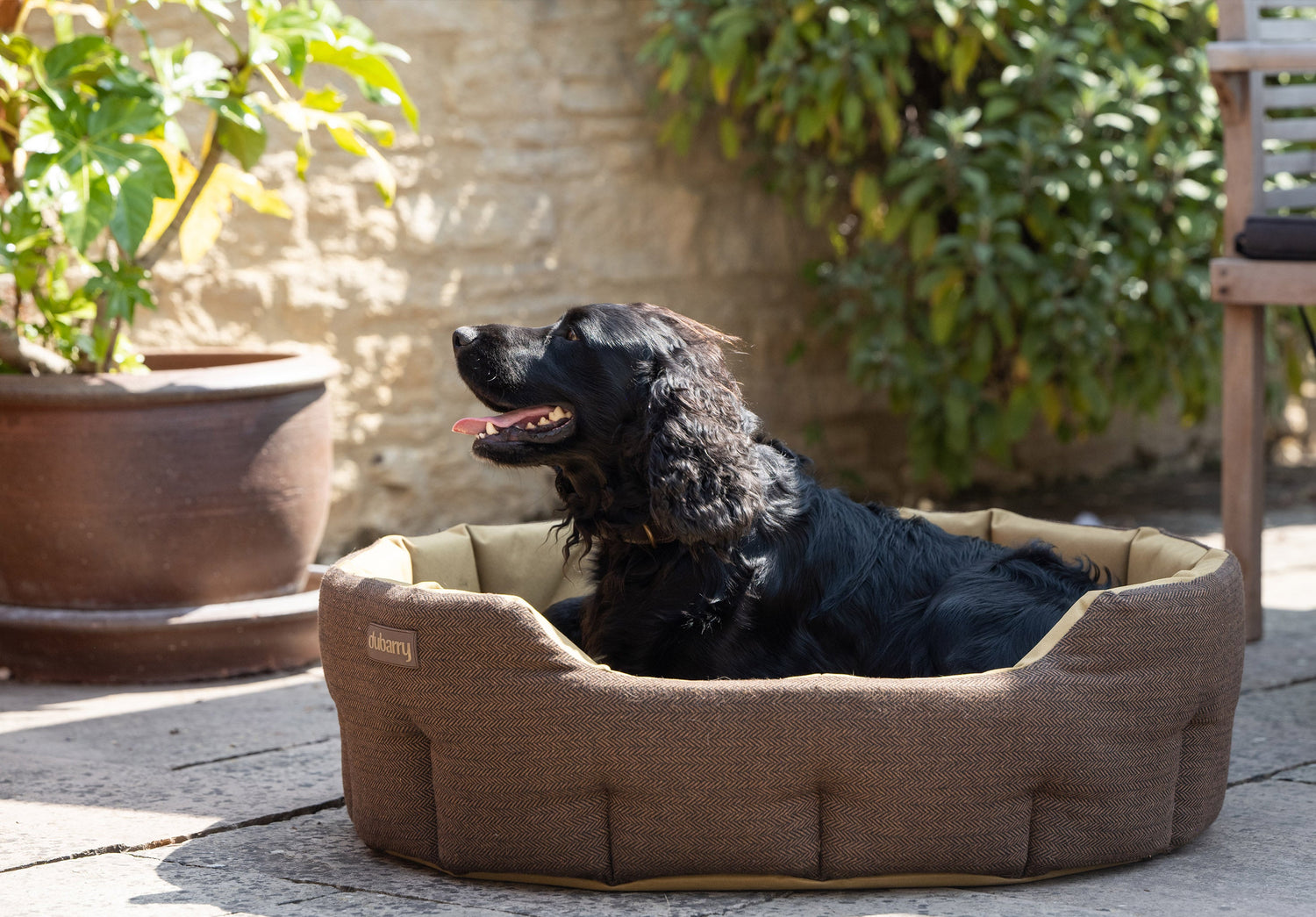 BUSTER Panier pour chien en tweed - Mocha