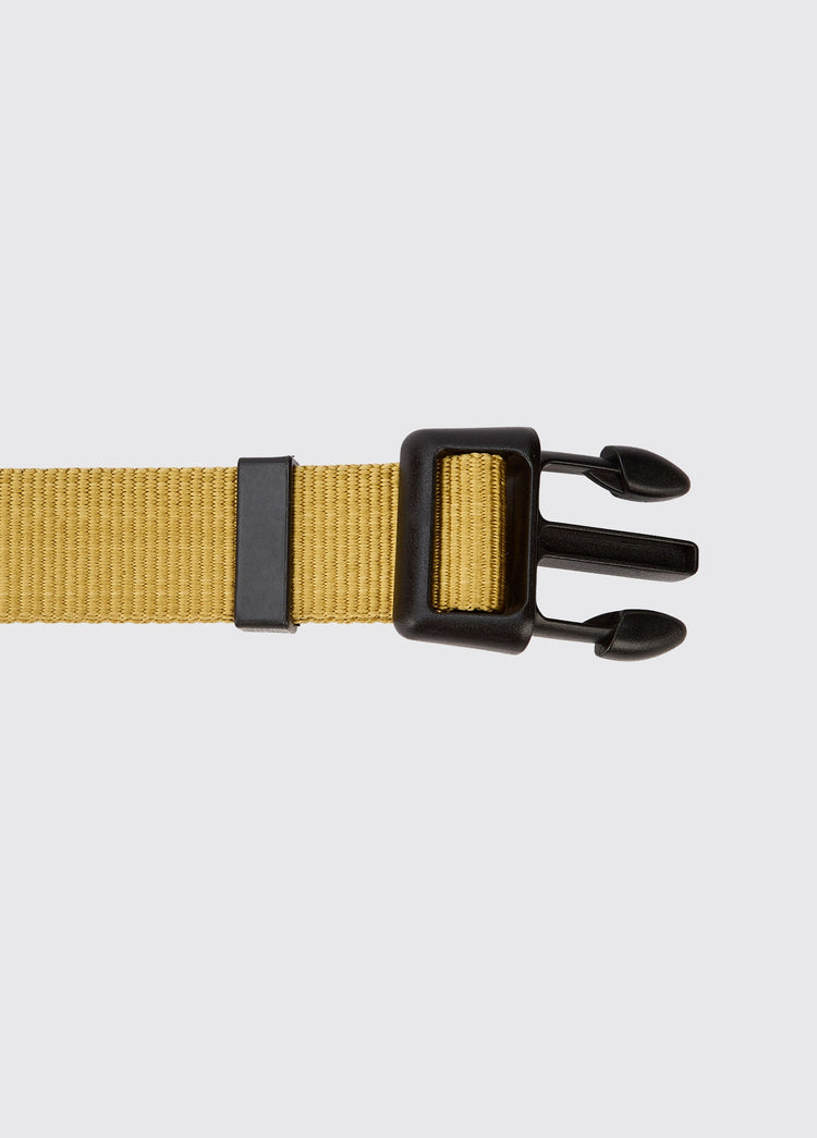 APOLLO Collier pour chien en nylon - Gold