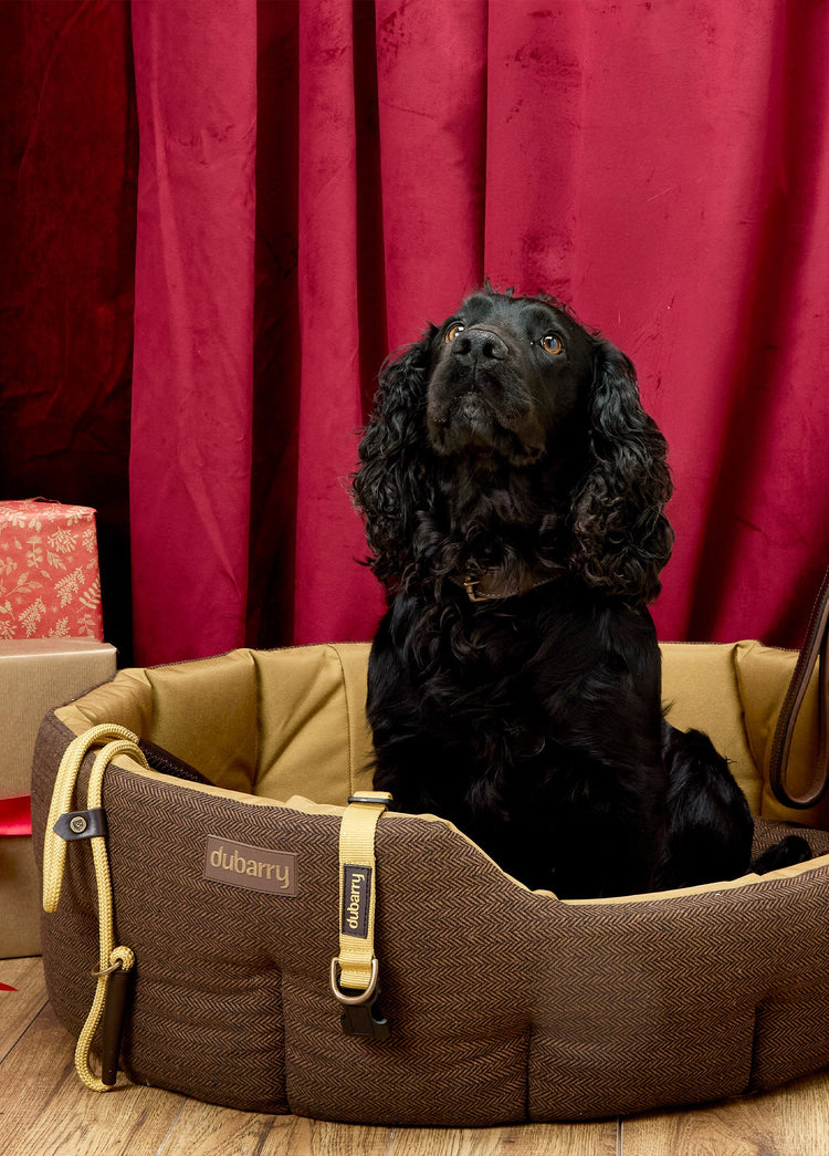 Buster Panier pour chien en tweed - Mocha